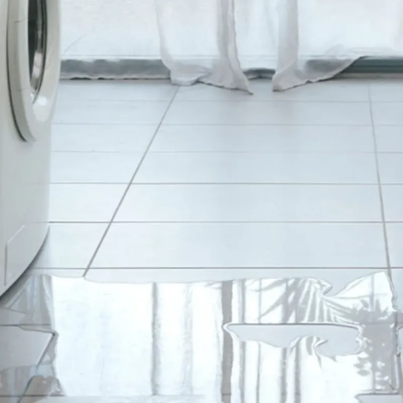 Appliance Leak Cleanup in North Auburn, CA